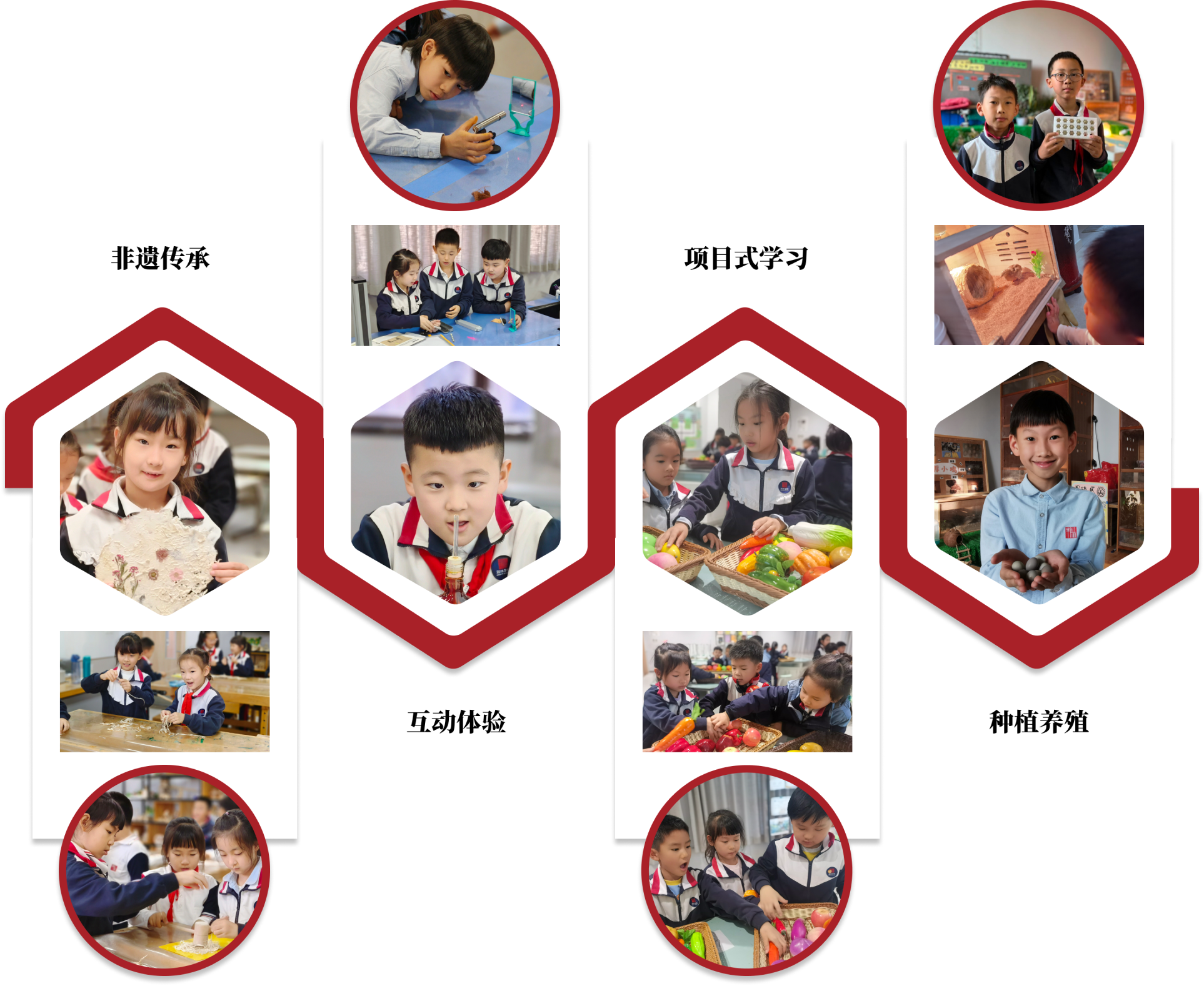 1758874699282054321.png 1758874699282054321.png